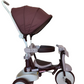 iimo 3-in-1 Foldable Tricycle with Canopy by iimo USA store