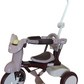 iimo 3-in-1 Foldable Tricycle with Canopy by iimo USA store