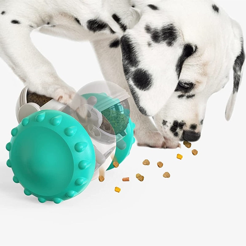 Pet Tumbler Treat Dispenser Interactive Toy by Dach Everywhere