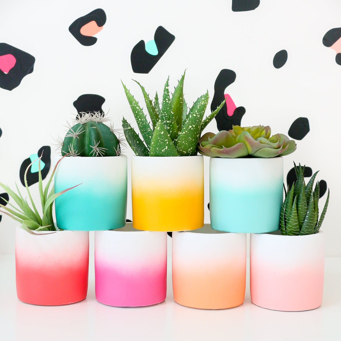 Ombre Cement Planter by Kailo Chic