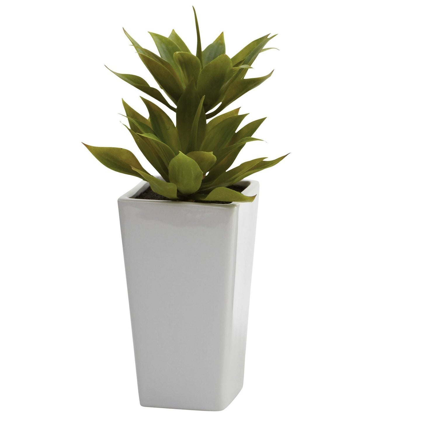 Double Mini Agave w/Planter (Set of 2) by Nearly Natural