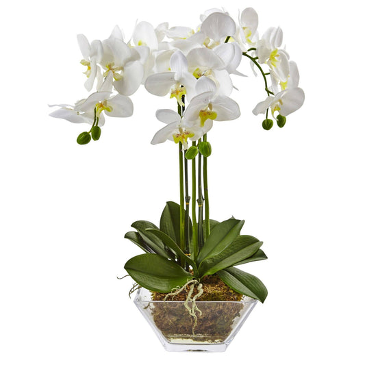 Triple Phalaenopsis Orchid in Glass Vase by Nearly Natural