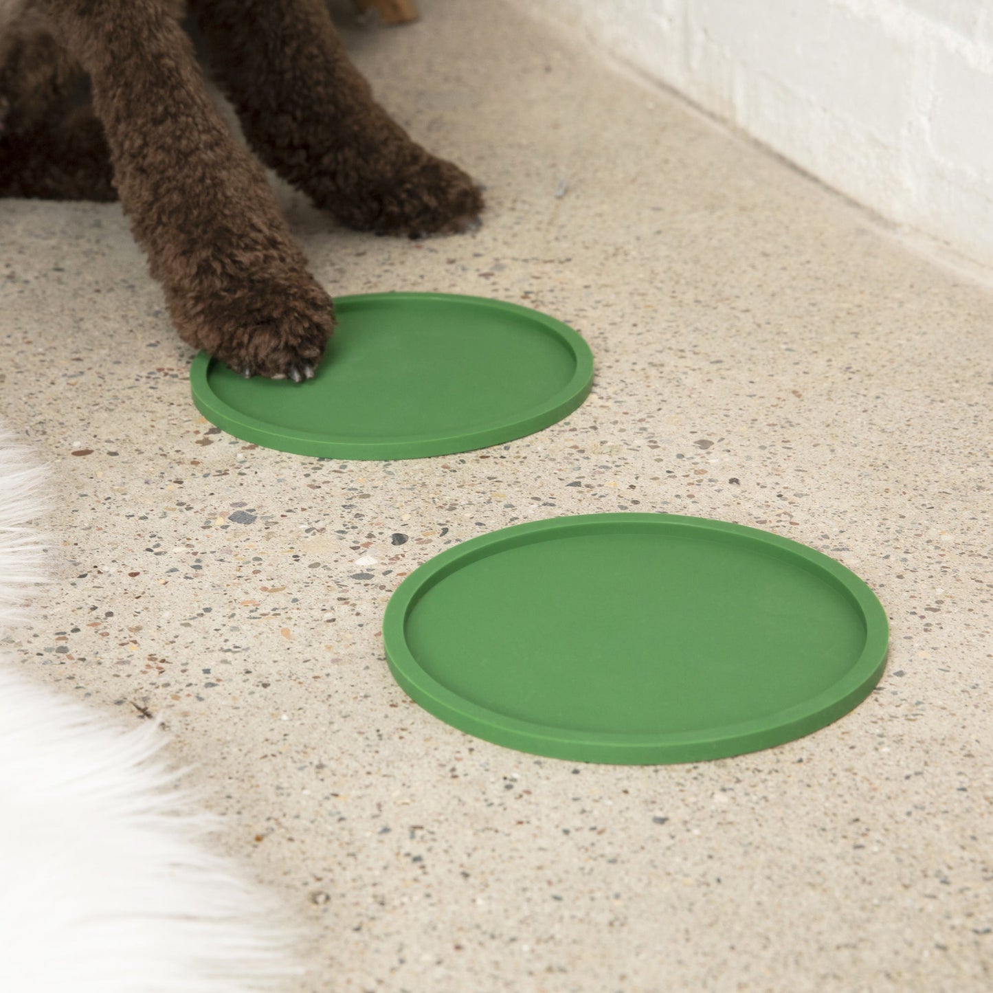 Habit Circle Dog Placemat - Set of 2 by Waggo