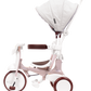 iimo 3-in-1 Foldable Tricycle with Canopy by iimo USA store